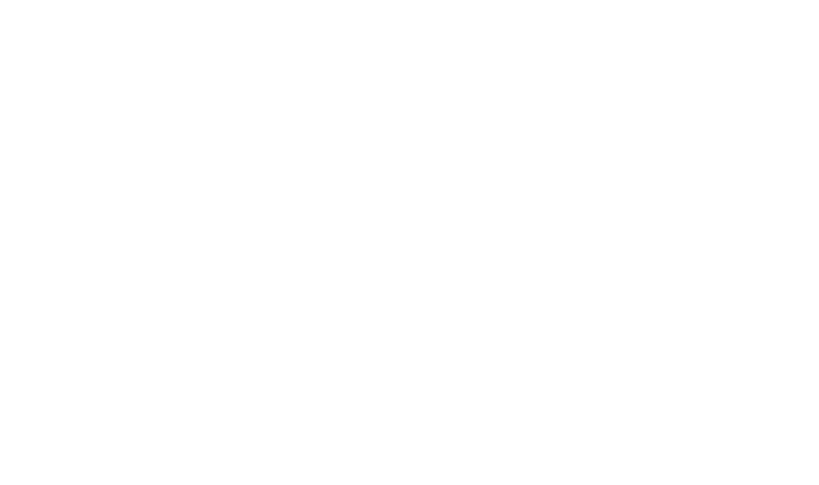Fundación Chile